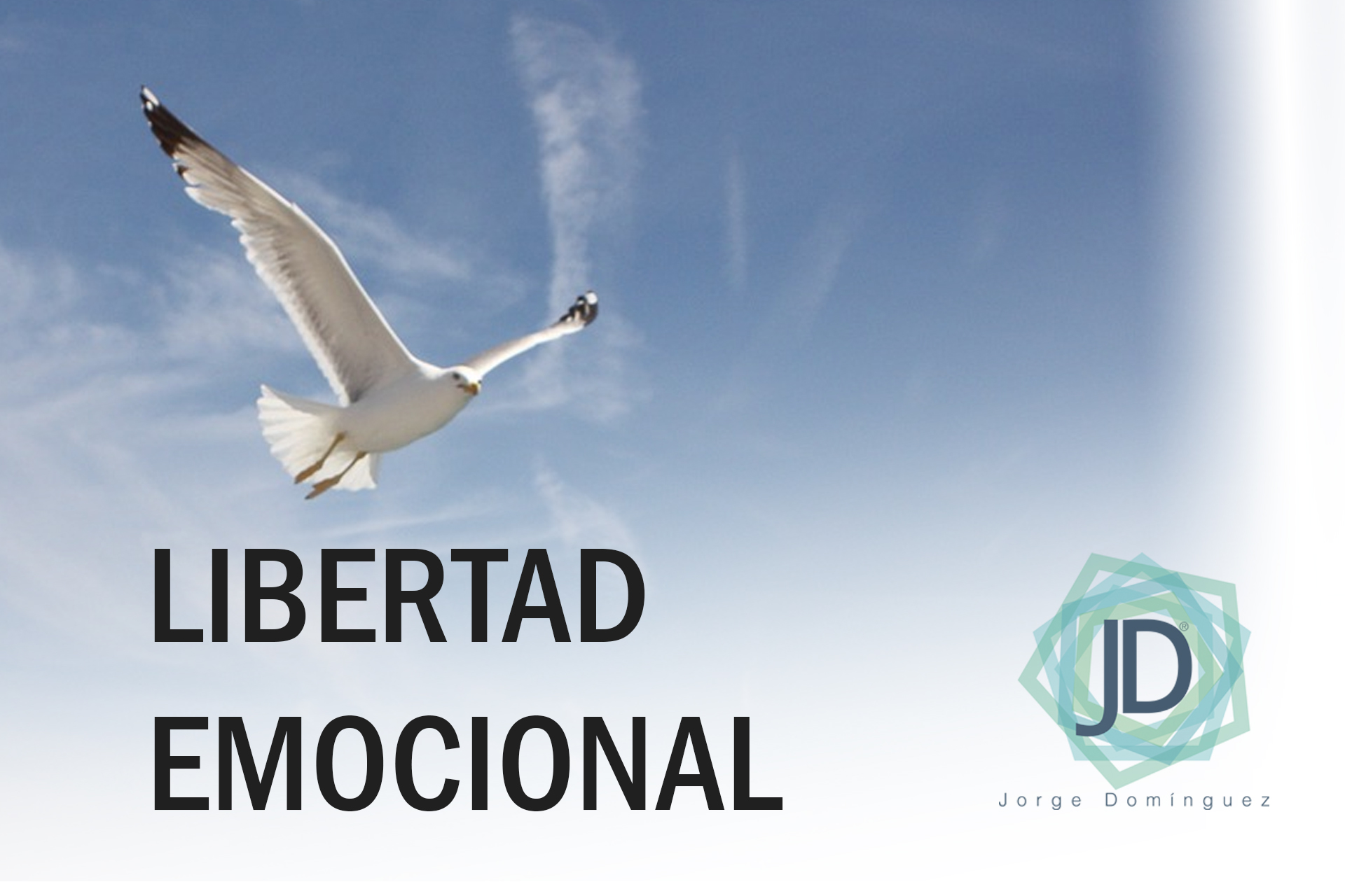 7 Leyes Para Lograr La Libertad Emocional Jorge Domínguez 0152