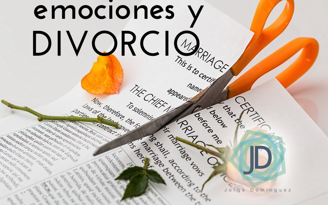 emociones en el divorcio