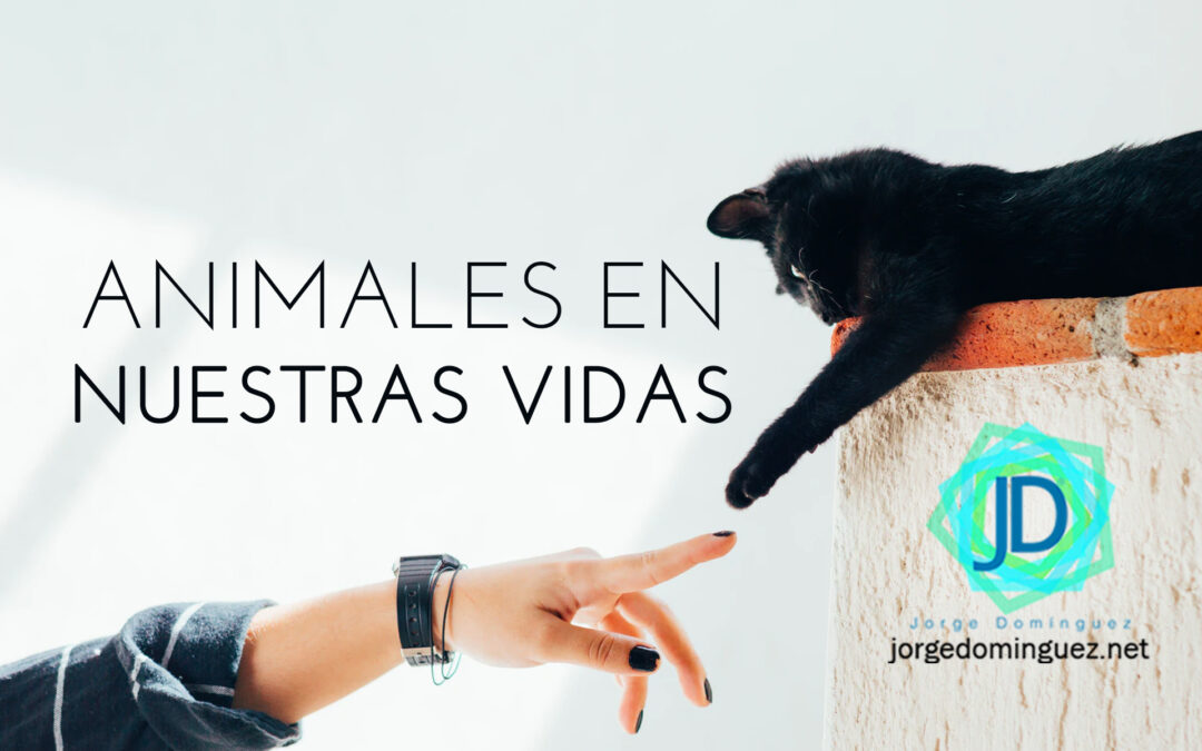 Beneficios de una mascota