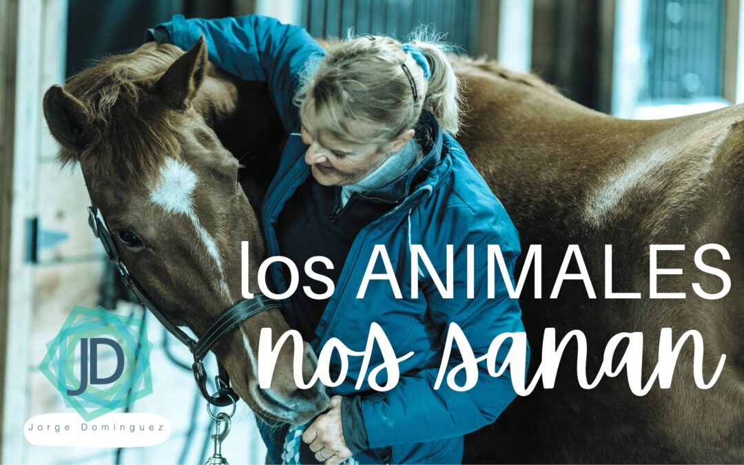 animales