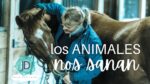 Animales: Un Enfoque Terapéutico Poderoso 