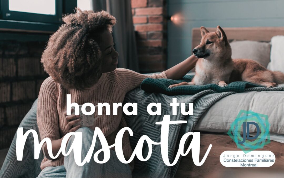 mascota