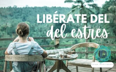 Guía para una vida más serena: libérate del estrés 