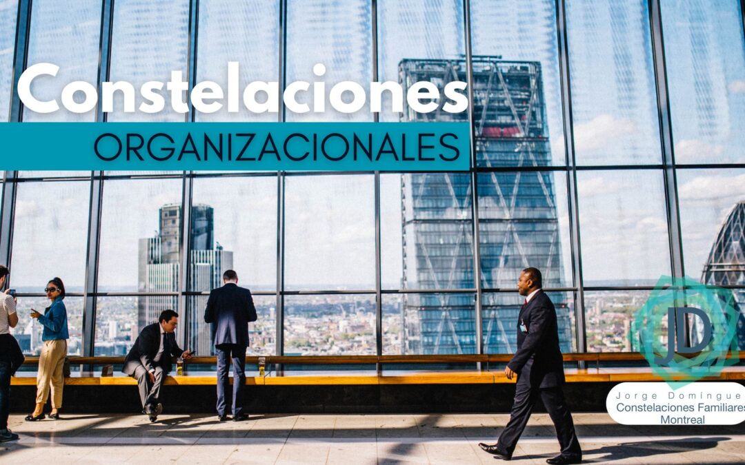 constelaciones organizacionales