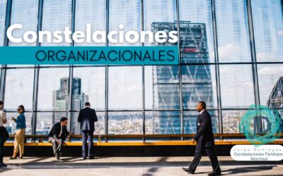 Constelaciones Organizacionales para crecer tu empresa 