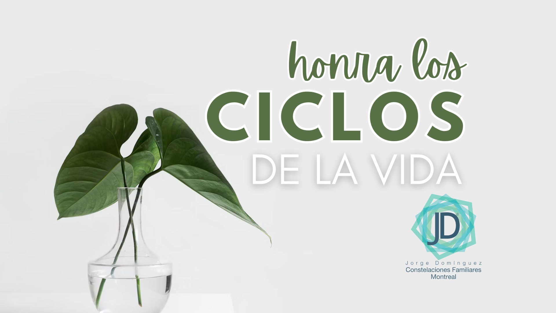 ciclos de la vida